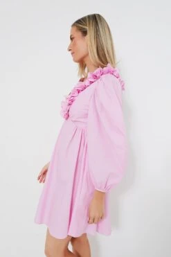 Pink Carianne Mini Dress 8 Pink Carianne Mini Dress -Outfit And Shoe Sales Store 5R03BON20xu2tPjtK46BjRROqcIemNZ5 1