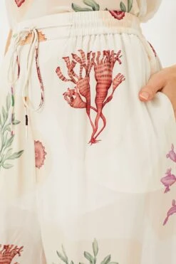 Nautilus Cream Genie Pants -Outfit And Shoe Sales Store 67YoBqscre23PNIQQ8TpGXbaYgkQzWB7 1