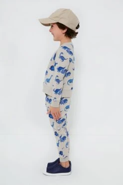 French Terry Dinos Raglan Sweatshirt And Jogger Set -Outfit And Shoe Sales Store Ftc2tPvGmGA5A26BmLdQDUbswCCjLIGv 1