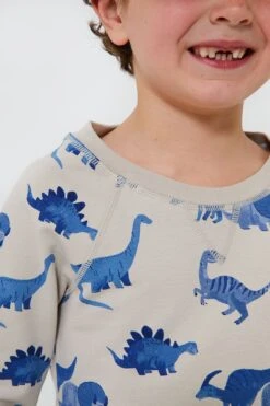 French Terry Dinos Raglan Sweatshirt And Jogger Set -Outfit And Shoe Sales Store QzveX0jjefoKxFD5K7jdYC58quufpgbn 1