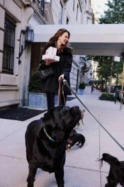 Fur Collar Cecile Swing Cape 14 Fur Collar Cecile Swing Cape -Outfit And Shoe Sales Store aYkpPsWWvicQGHYTY7LQs37rAwjqyZA6 1