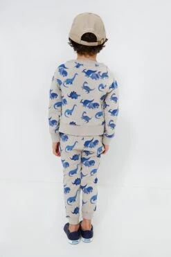 French Terry Dinos Raglan Sweatshirt And Jogger Set -Outfit And Shoe Sales Store hvqO5HSsKgahNkZzcK1SlYC1pL4cPvKk 1