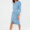 Painterly Dots Blue Ry Shirtdress
