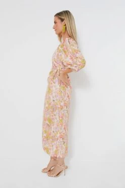 Pink Garden Bessie Dress -Outfit And Shoe Sales Store rVJHD09iYk7mpRFpVjs7H8syC8gqdmz3 1